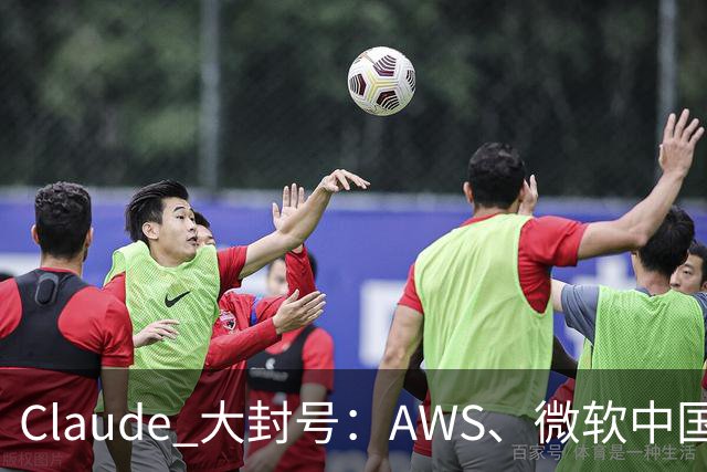 Claude 大封号：AWS、微软中国大批用户中招，或损失数亿美元