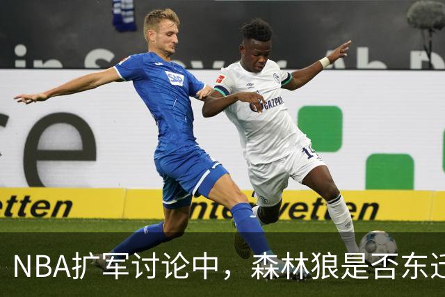 NBA扩军讨论中，森林狼是否东迁尚无定论